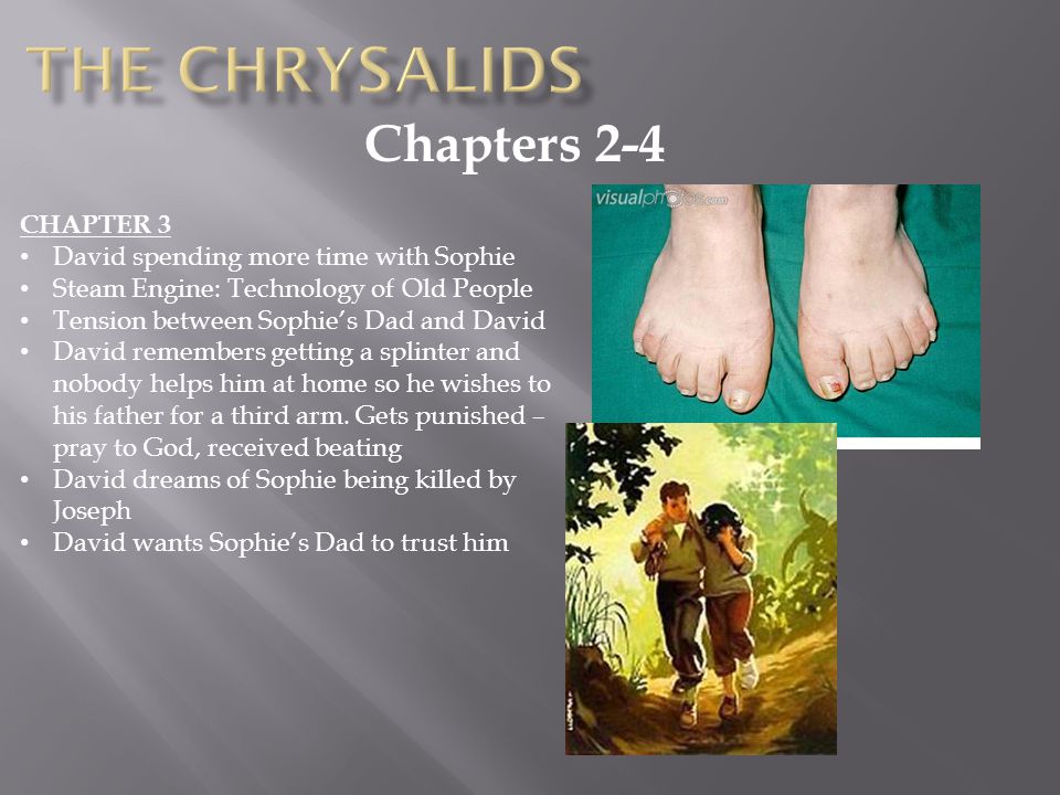 the chrysalids david essay the chrysalids david essay