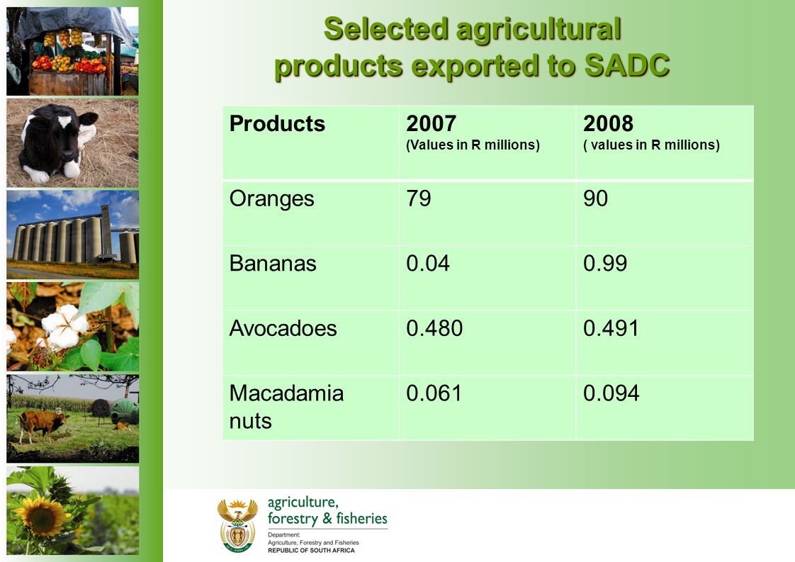 Selected agricultural products exported to SADC Products2007 (Values in R millions) 2008 ( values in R millions) Oranges7990 Bananas Avocadoes Macadamia nuts