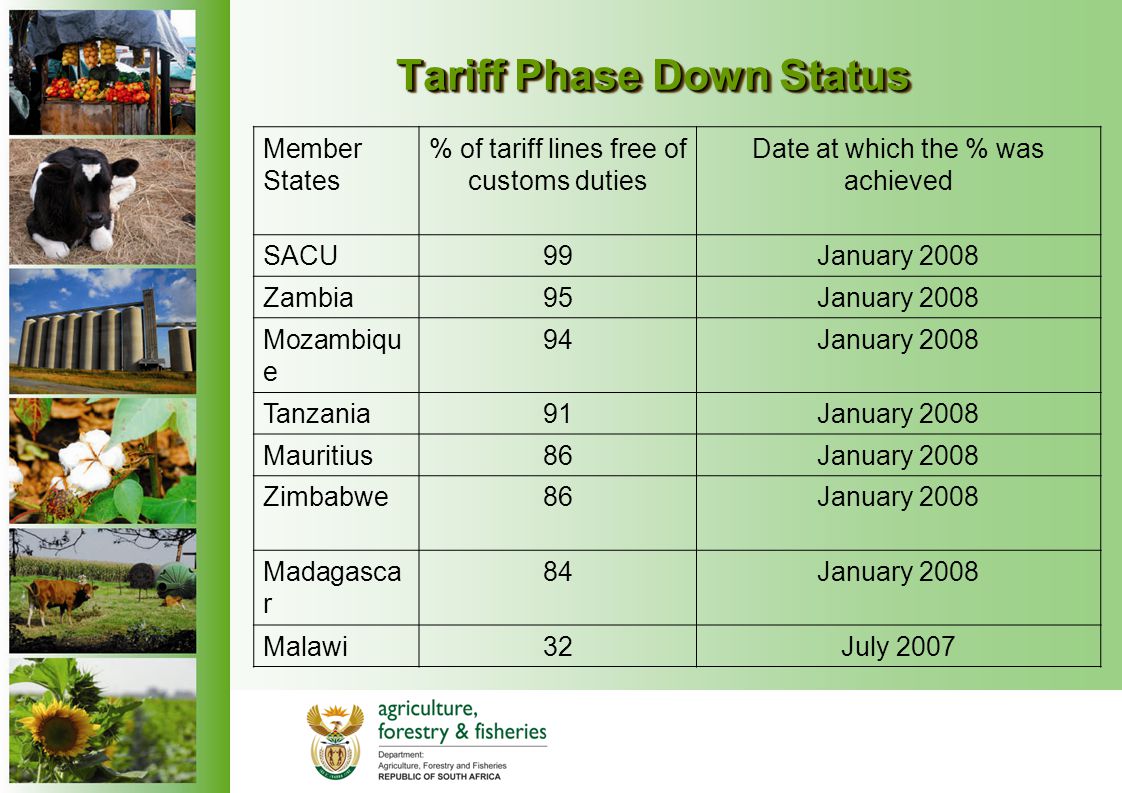 Tariff Phase Down Status Member States % of tariff lines free of customs duties Date at which the % was achieved SACU99January 2008 Zambia95January 2008 Mozambiqu e 94January 2008 Tanzania91January 2008 Mauritius86January 2008 Zimbabwe86January 2008 Madagasca r 84January 2008 Malawi32July 2007