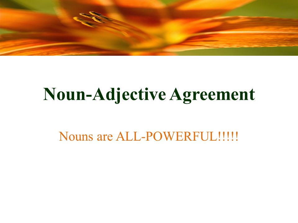Noun-Adjective Agreement Nouns are ALL-POWERFUL!!!!!