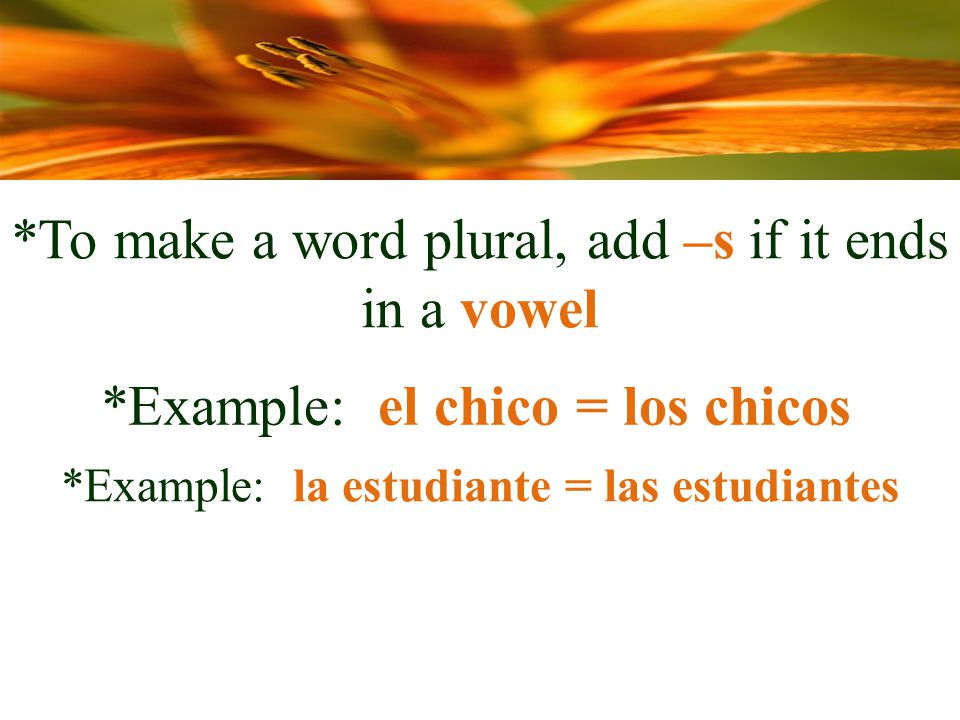 *To make a word plural, add –s if it ends in a vowel *Example: el chico = los chicos *Example: la estudiante = las estudiantes