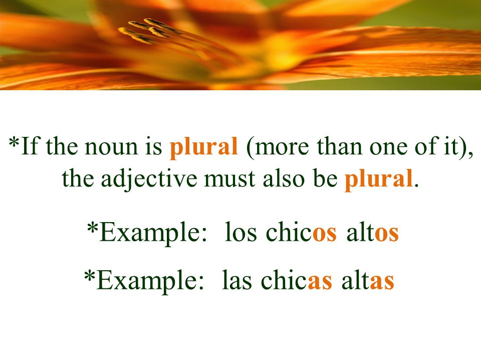*If the noun is plural (more than one of it), the adjective must also be plural.