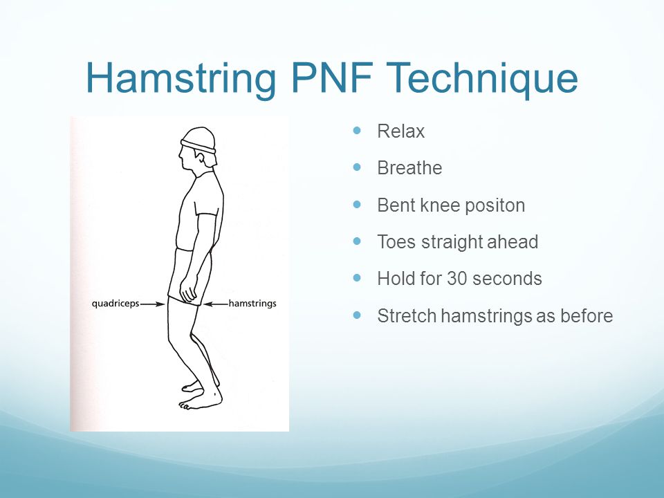 Hamstring PNF Technique Relax Breathe Bent knee positon Toes straight ahead Hold for 30 seconds Stretch hamstrings as before