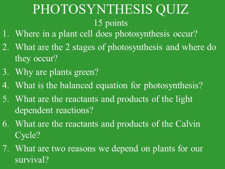 How To Write A Compare Contrast Essay Photosynthesis Essay The Garden Party Essay also Essay On Generation Gap Photosynthesis Essay Research Paper Service How To End A Persuasive Essay