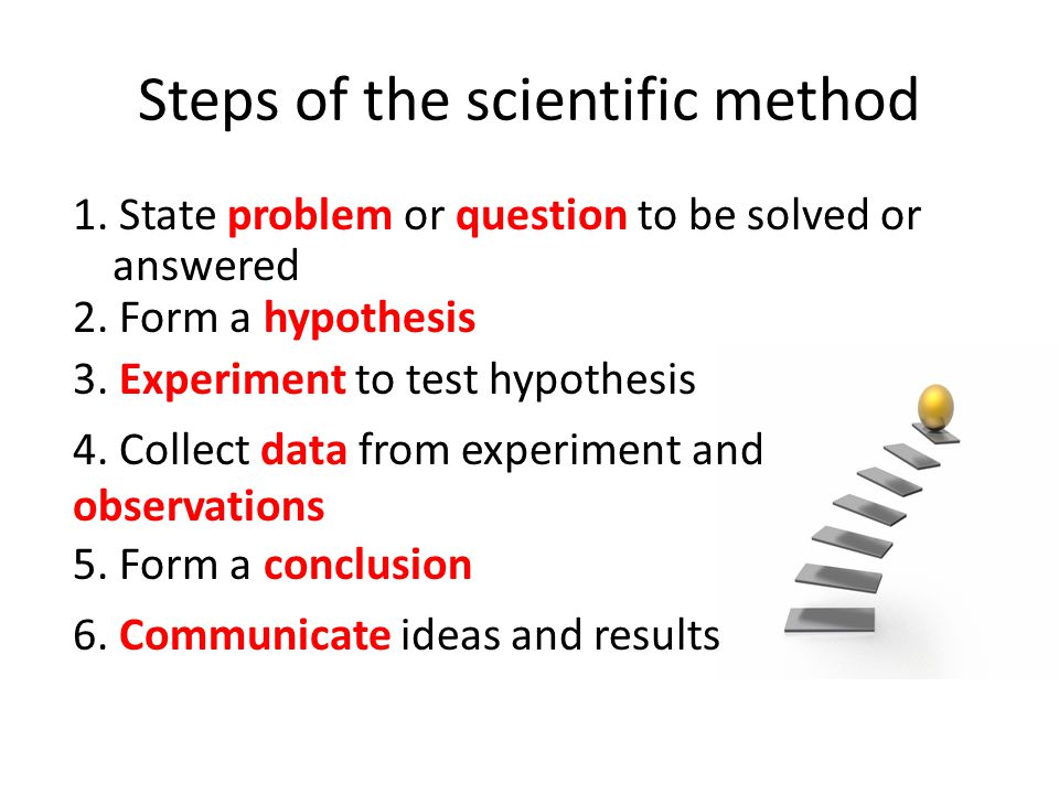 Forming Hypothesis