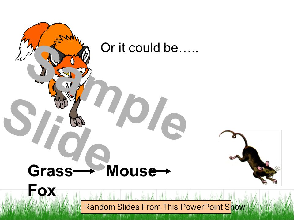 Or it could be….. Grass Mouse Fox Sample Slide Random Slides From This PowerPoint Show