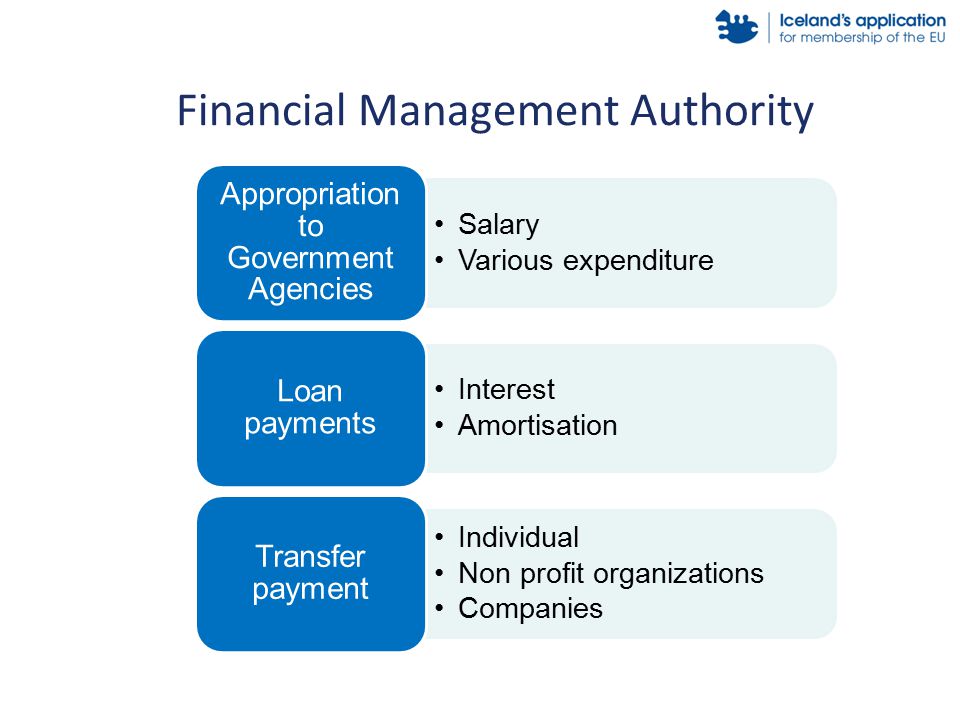 Salary Various expenditure Appropriation to Government Agencies Interest Amortisation Loan payments Individual Non profit organizations Companies Transfer payment