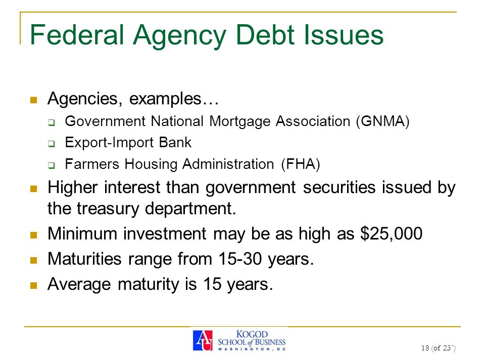 18 (of 23`) Federal Agency Debt Issues Agencies, examples…  Government National Mortgage Association (GNMA)  Export-Import Bank  Farmers Housing Administration (FHA) Higher interest than government securities issued by the treasury department.