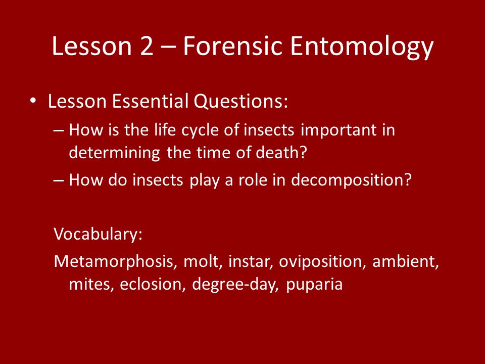 Worksheet Forensic Entomology Worksheet unit 8 decomposition human remains mrs teates forensic lesson 2 entomology essential questions how is the life cycle of