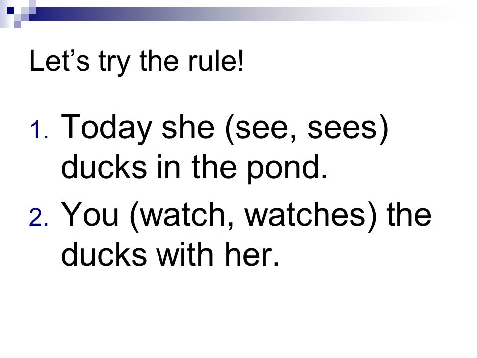 Let’s try the rule. 1. Today she (see, sees) ducks in the pond.