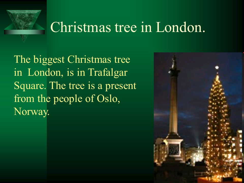 The biggest Christmas tree in London, is in Trafalgar Square.