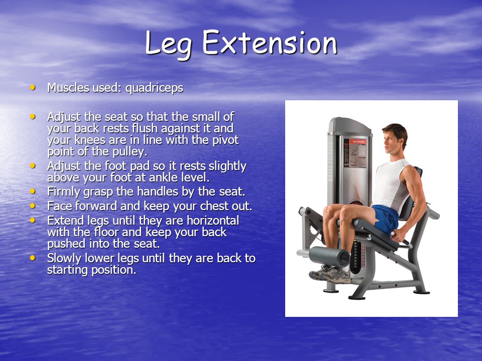 Leg Extension Muscles used: quadriceps Muscles used: quadriceps Adjust the seat so that the small of your back rests flush against it and your knees are in line with the pivot point of the pulley.