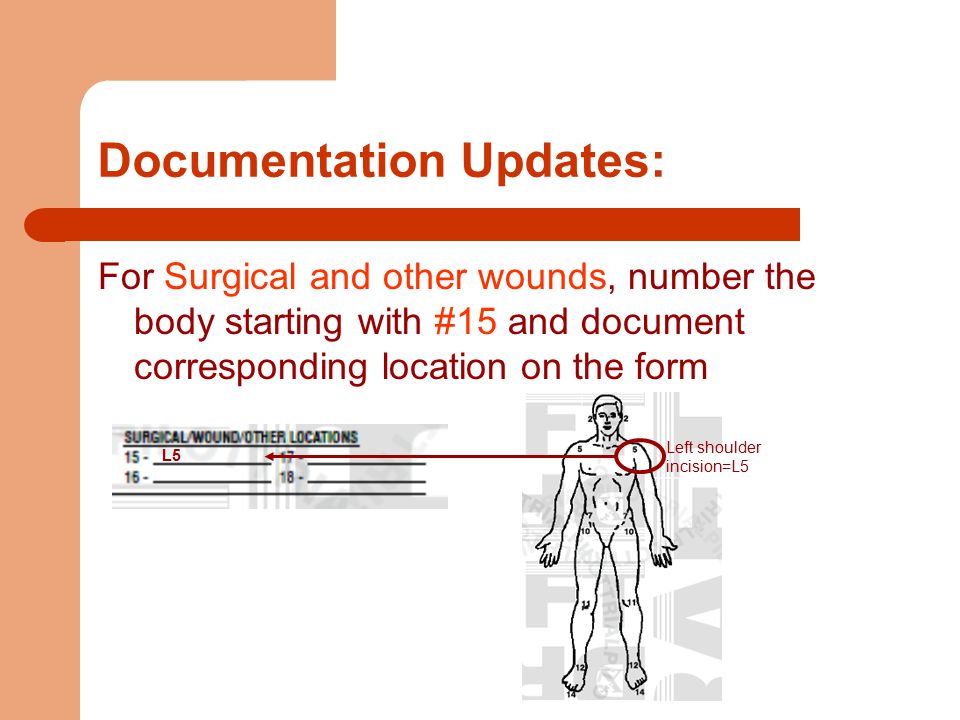 pressure ulcer prevention and wound and skin documentation update form l5