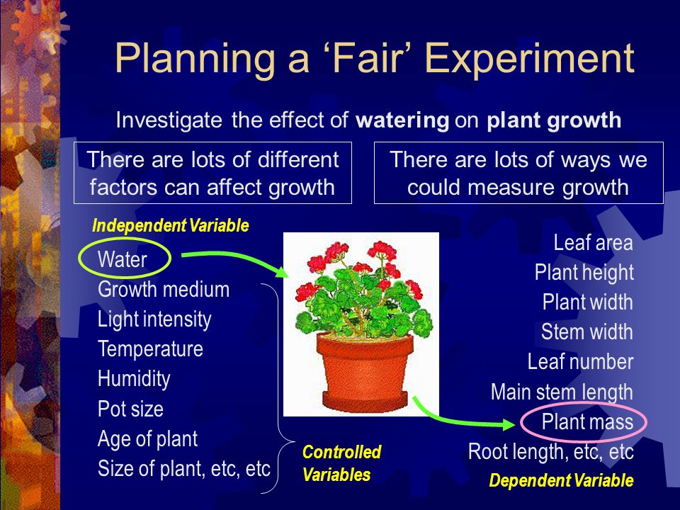 Planning a ‘Fair’ Experiment Investigate the effect of watering on plant growth There are lots of different factors can affect growth Water Growth medium Light intensity Temperature Humidity Pot size Age of plant Size of plant, etc, etc There are lots of ways we could measure growth Leaf area Plant height Plant width Stem width Leaf number Main stem length Plant mass Root length, etc, etc Controlled Variables Independent Variable Dependent Variable