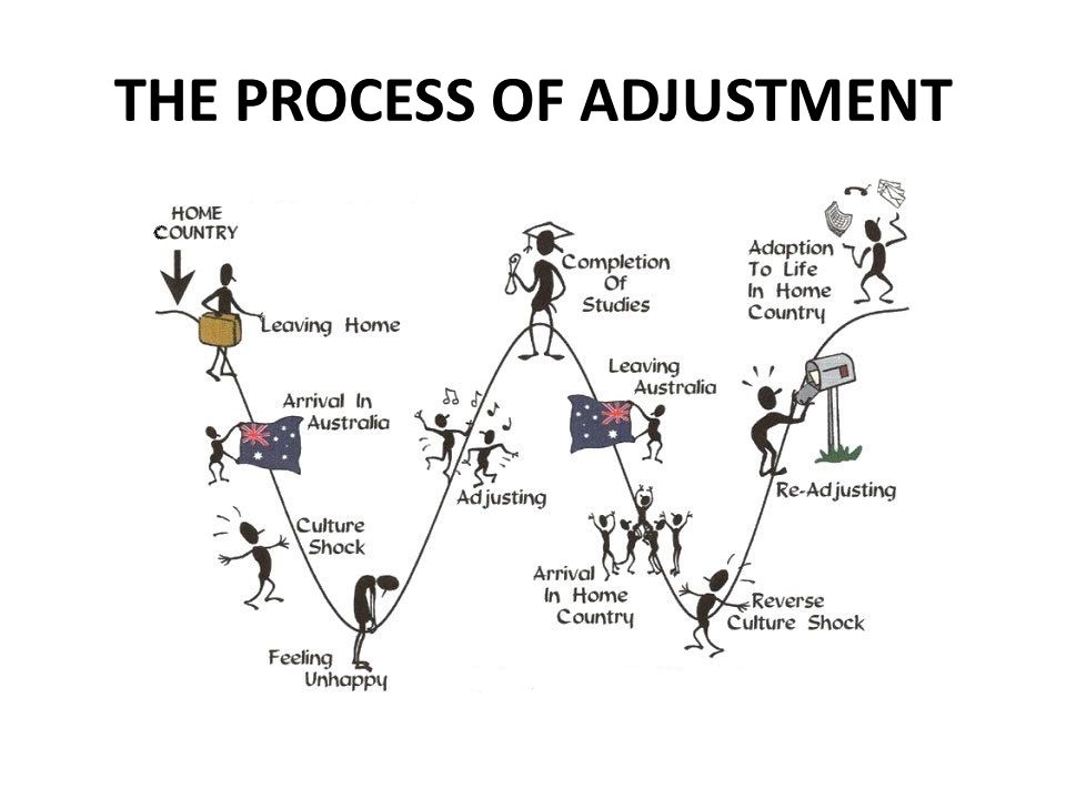 THE PROCESS OF ADJUSTMENT