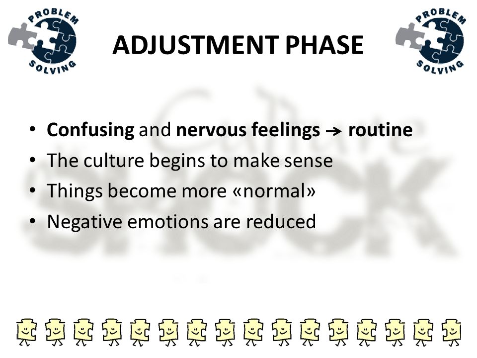 ADJUSTMENT PHASE Confusing and nervous feelings routine The culture begins to make sense Things become more «normal» Negative emotions are reduced