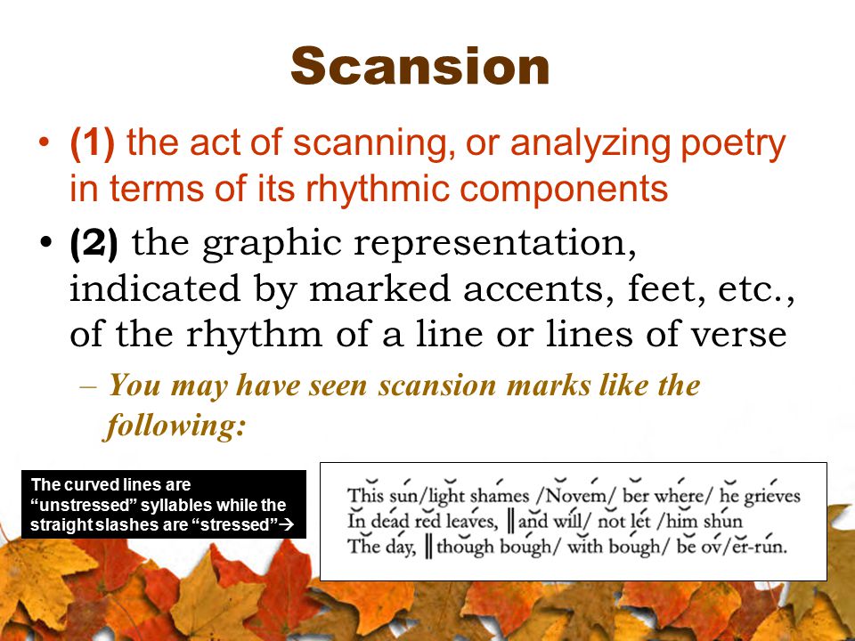 Scansion (1) the act of scanning, or analyzing poetry in terms of its rhythmic components (2) the graphic representation, indicated by marked accents, feet, etc., of the rhythm of a line or lines of verse –You may have seen scansion marks like the following: The curved lines are unstressed syllables while the straight slashes are stressed 