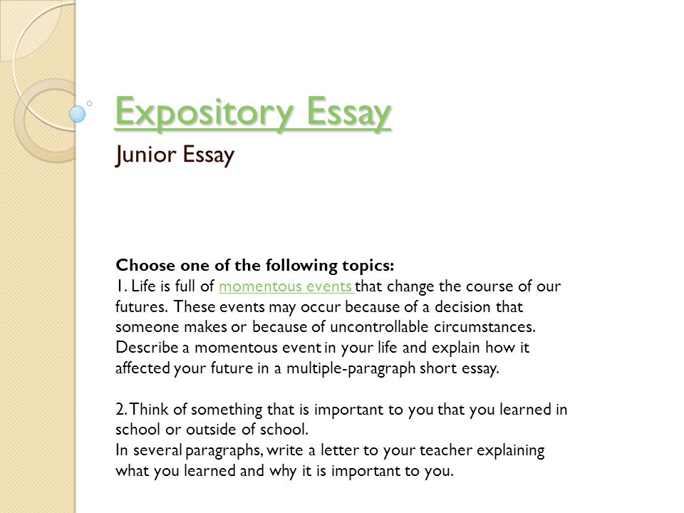 Expository essay topcs