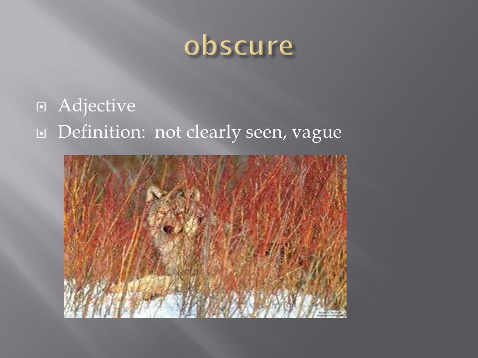  Adjective  Definition: not clearly seen, vague