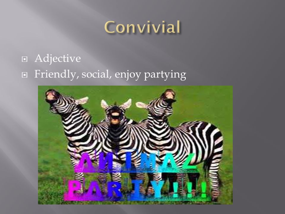  Adjective  Friendly, social, enjoy partying