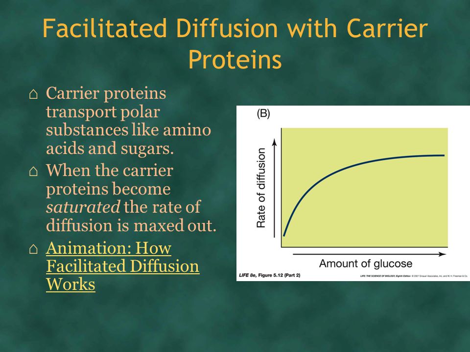 anticipatory set anticipatory set l2 3 ppt download how facilitated diffusion works