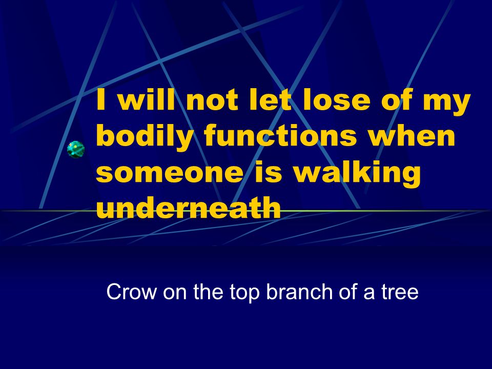 I will not let lose of my bodily functions when someone is walking underneath Crow on the top branch of a tree