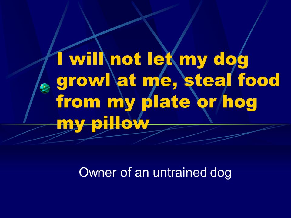 I will not let my dog growl at me, steal food from my plate or hog my pillow Owner of an untrained dog