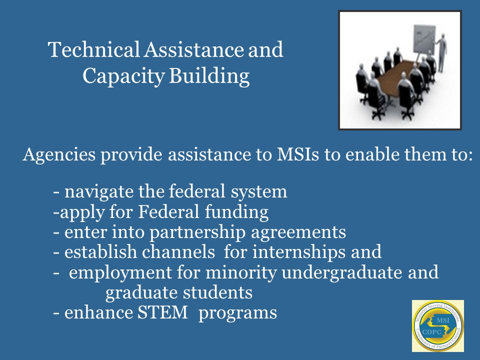 Technical Assistance and Capacity Building Agencies provide assistance to MSIs to enable them to: - navigate the federal system -apply for Federal funding - enter into partnership agreements - establish channels for internships and - employment for minority undergraduate and graduate students - enhance STEM programs