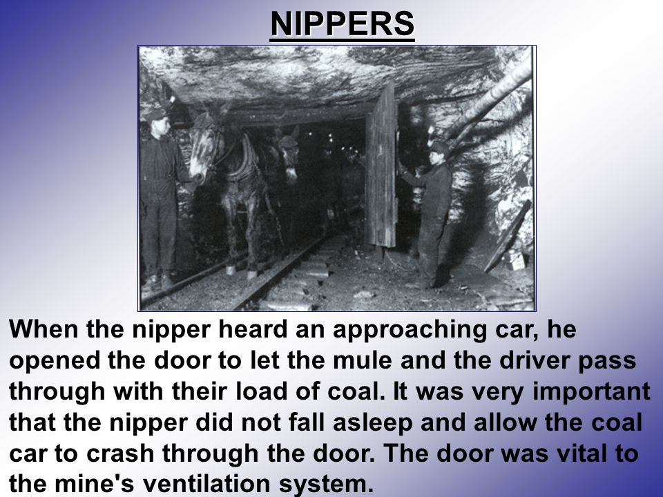 NIPPERS When the nipper heard an approaching car, he opened the door to let the mule and the driver pass through with their load of coal.