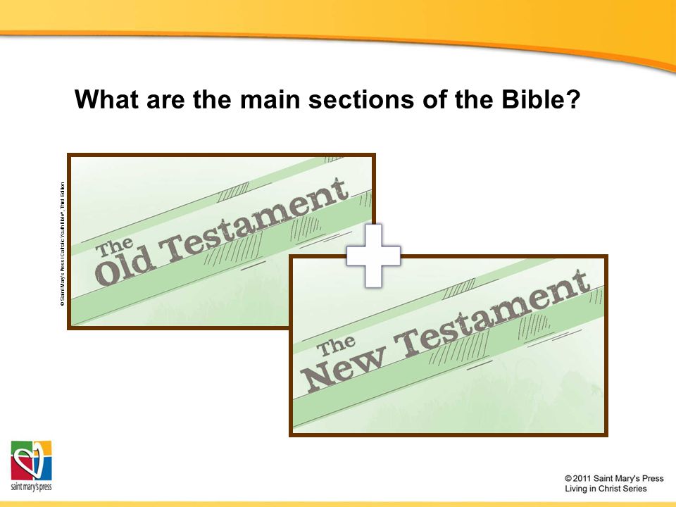 © Saint Mary’s Press / Catholic Youth Bible ®, Third Edition What are the main sections of the Bible
