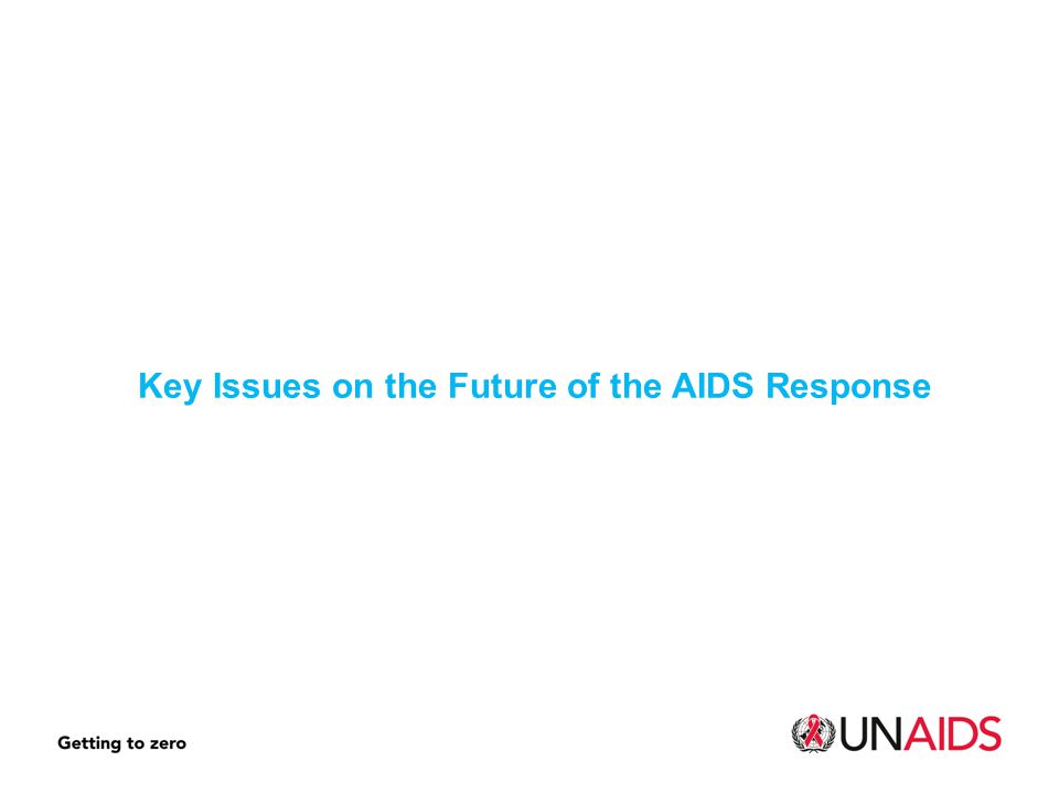 Key Issues on the Future of the AIDS Response