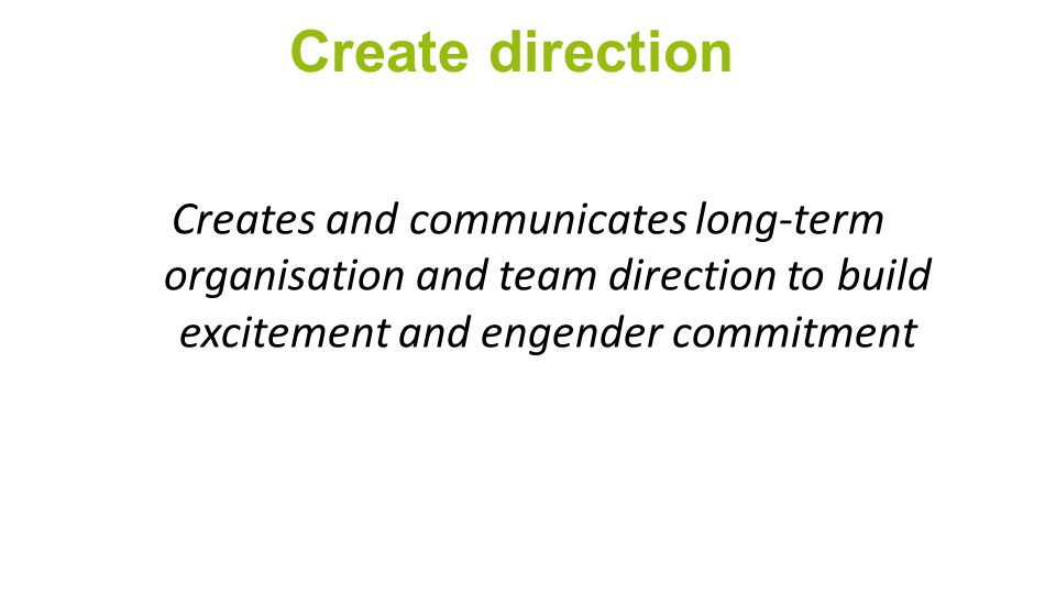 Create direction Creates and communicates long-term organisation and team direction to build excitement and engender commitment