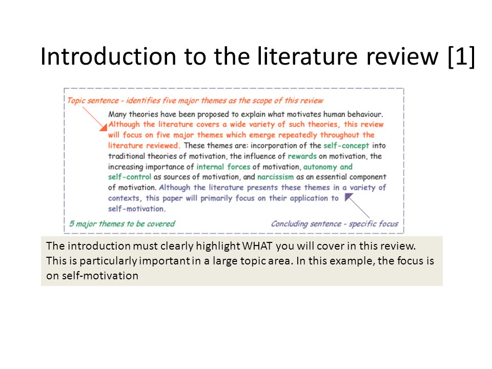Literature review introduction example