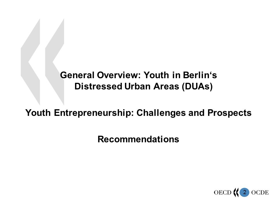 2 General Overview: Youth in Berlin‘s Distressed Urban Areas (DUAs) Youth Entrepreneurship: Challenges and Prospects Recommendations