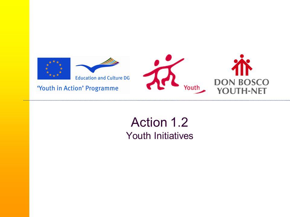 Action 1.2 Youth Initiatives