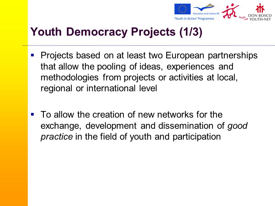 Youth Democracy Projects (1/3)  Projects based on at least two European partnerships that allow the pooling of ideas, experiences and methodologies from projects or activities at local, regional or international level  To allow the creation of new networks for the exchange, development and dissemination of good practice in the field of youth and participation