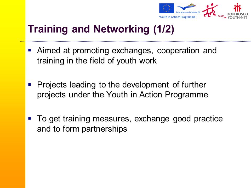 Training and Networking (1/2)  Aimed at promoting exchanges, cooperation and training in the field of youth work  Projects leading to the development of further projects under the Youth in Action Programme  To get training measures, exchange good practice and to form partnerships