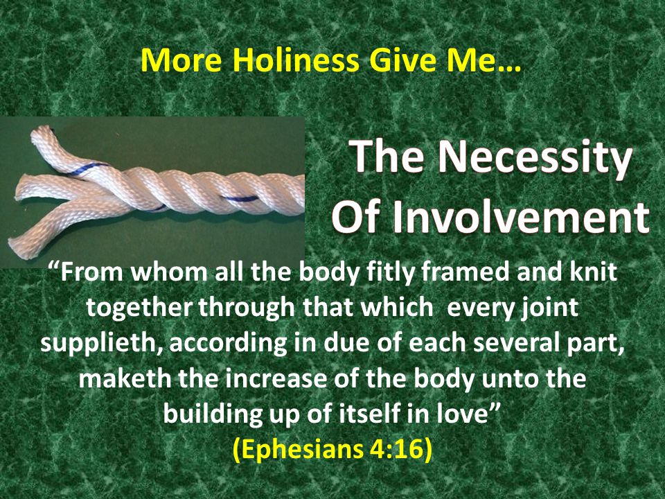 From whom all the body fitly framed and knit together through that which every joint supplieth, according in due of each several part, maketh the increase of the body unto the building up of itself in love (Ephesians 4:16) More Holiness Give Me…