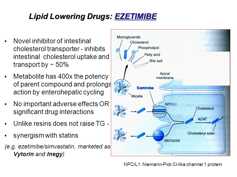 buy azithromycin in perth wa buy azithromycin in perth wa