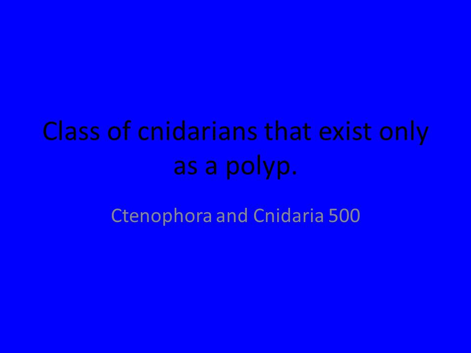 Class of cnidarians that exist only as a polyp. Ctenophora and Cnidaria 500