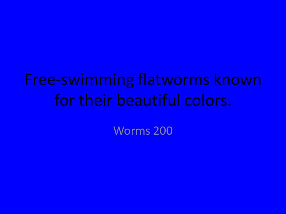 Free-swimming flatworms known for their beautiful colors. Worms 200