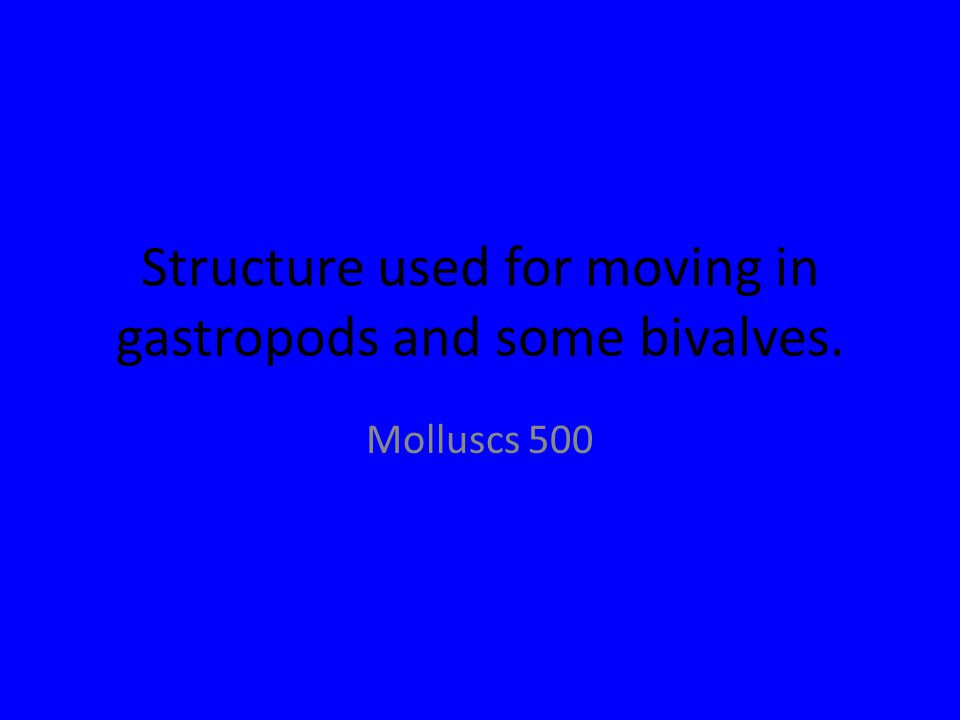 Structure used for moving in gastropods and some bivalves. Molluscs 500