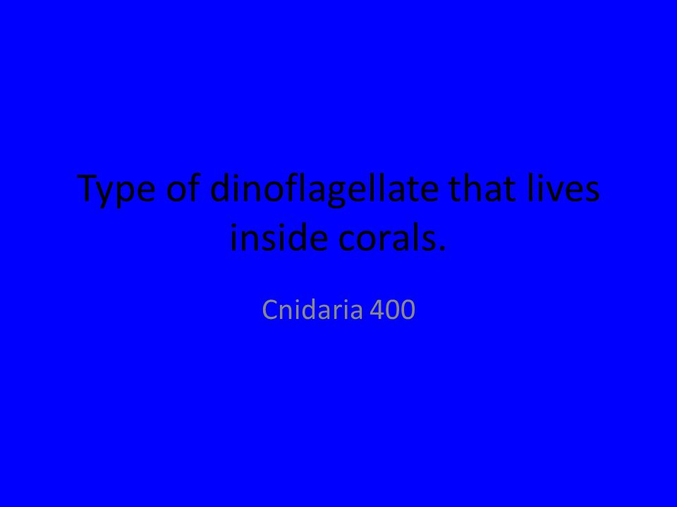 Type of dinoflagellate that lives inside corals. Cnidaria 400