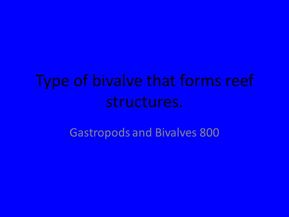 Type of bivalve that forms reef structures. Gastropods and Bivalves 800