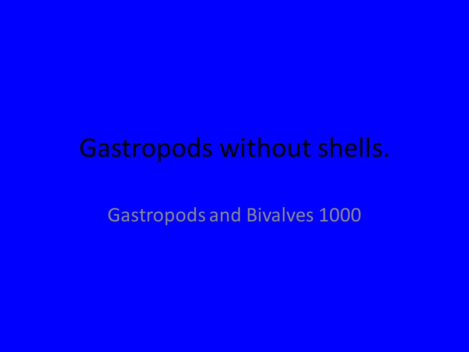 Gastropods without shells. Gastropods and Bivalves 1000