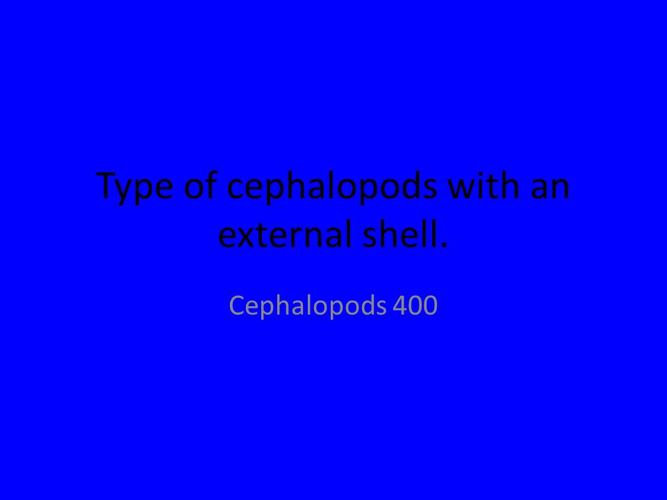 Type of cephalopods with an external shell. Cephalopods 400
