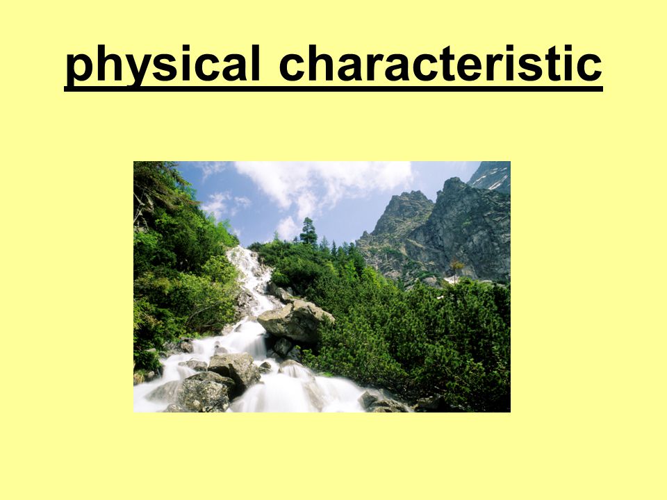 physical characteristic