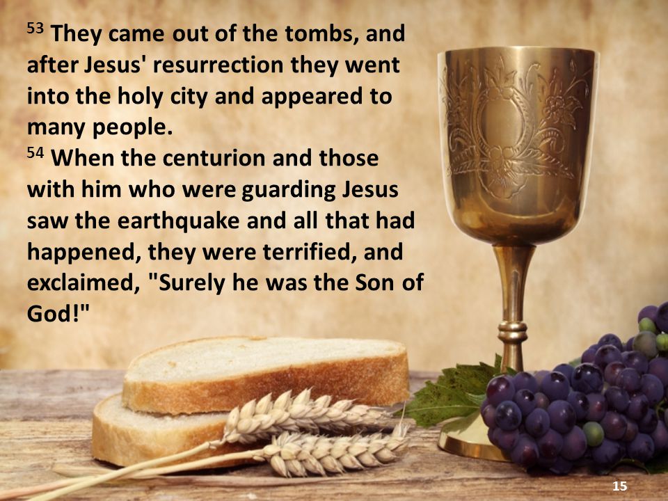15 53 They came out of the tombs, and after Jesus resurrection they went into the holy city and appeared to many people.