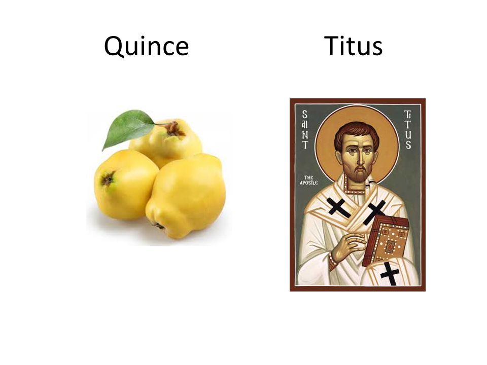 Quince Titus