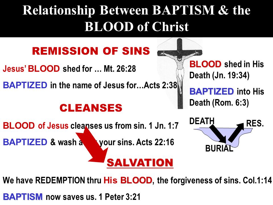 BLOOD BLOOD shed in His Death (Jn. 19:34) BAPTIZED BAPTIZED into His Death (Rom.